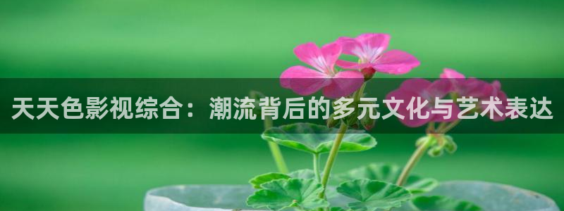 yy6029新视觉私人影院：天天色影视综合：潮流背后的多元文化与艺术表达