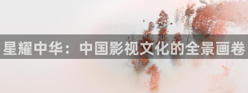 新视觉私人影院官网：星耀中华：中国影视文化的全景画卷