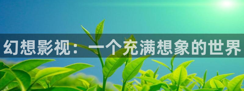 6080新视觉在线影院：幻想影视：一个充满想象的世界