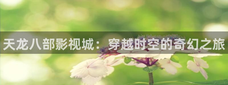 y6080新视觉电影免费播放